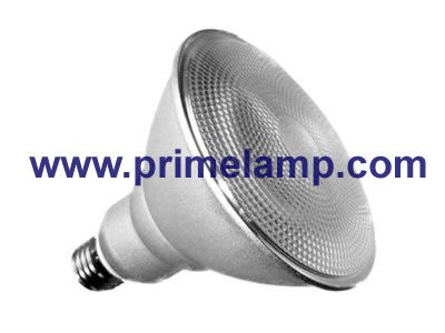 Covered Compact Fluorescent Lamp