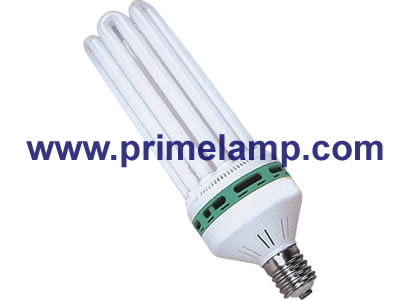 6U Compact Fluorescent Lamp