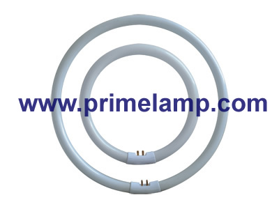 T5 Circular Lamp