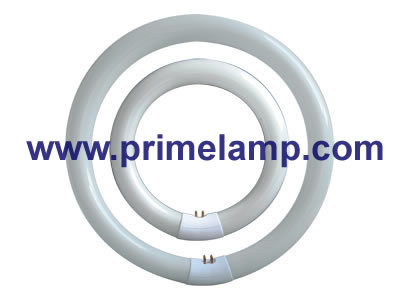 Circular Fluorescent Lamp