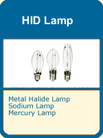 HID Lamp